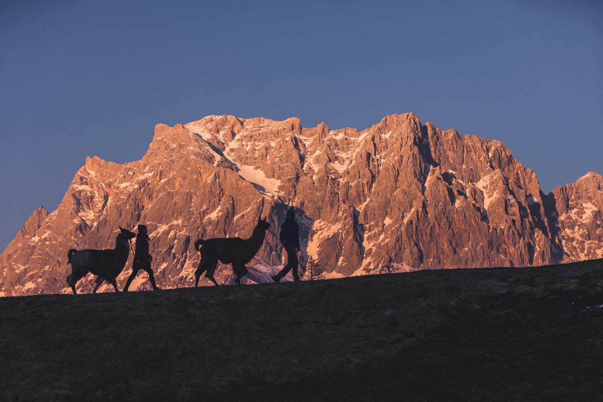 Appartement Gipfelblick- Tiroler Zugspitze Arena In Biberwier Exteriér fotografie
